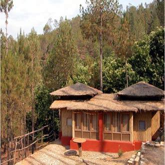Chestnut Grove Himalayan Lodge, Chaukori 1